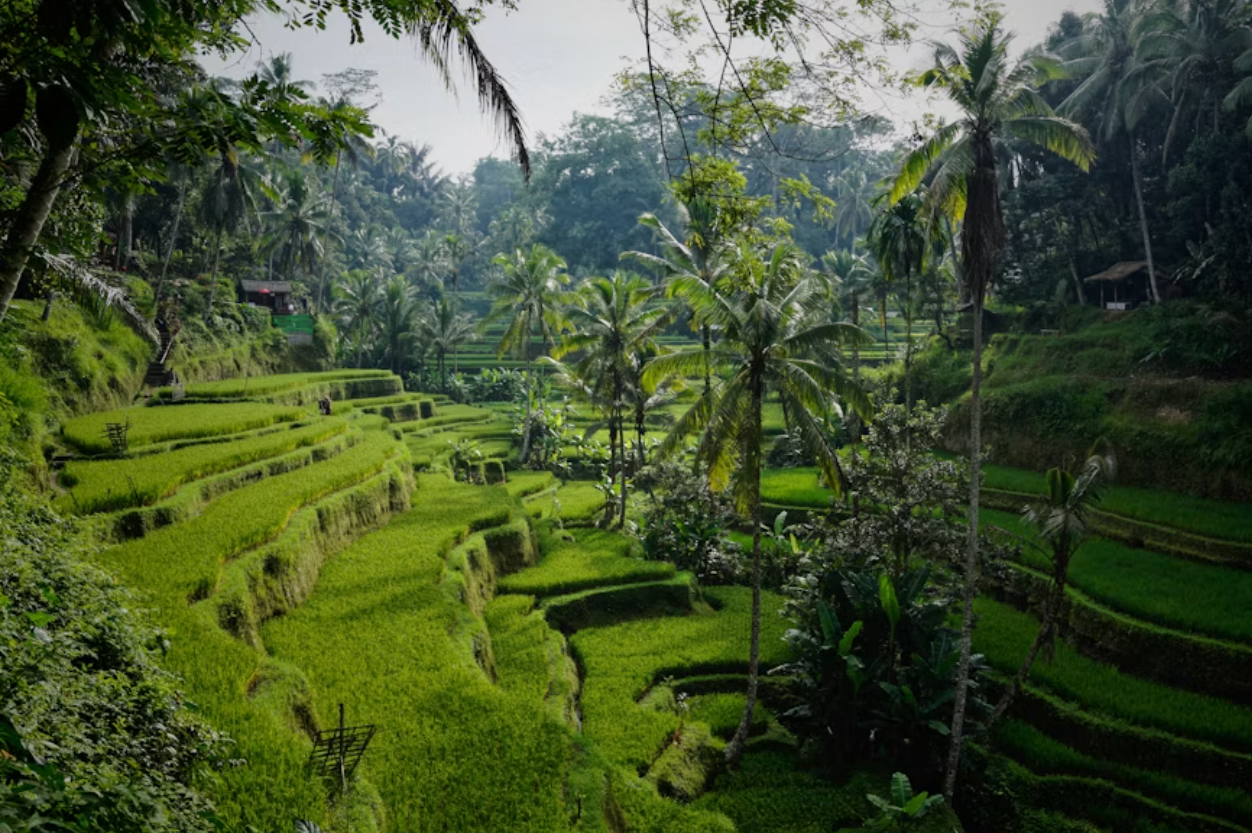 Bali